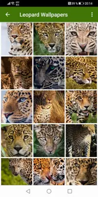 Leopard Wallpapers android App screenshot 3