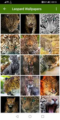 Leopard Wallpapers android App screenshot 4